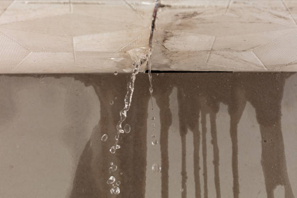 Professional Water Extraction technician working in Brilliant, OH